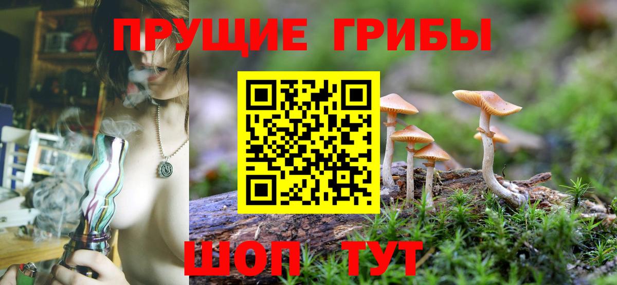 Пушкино  Галлюциногенные грибы ЛСД  Вход с VPN 