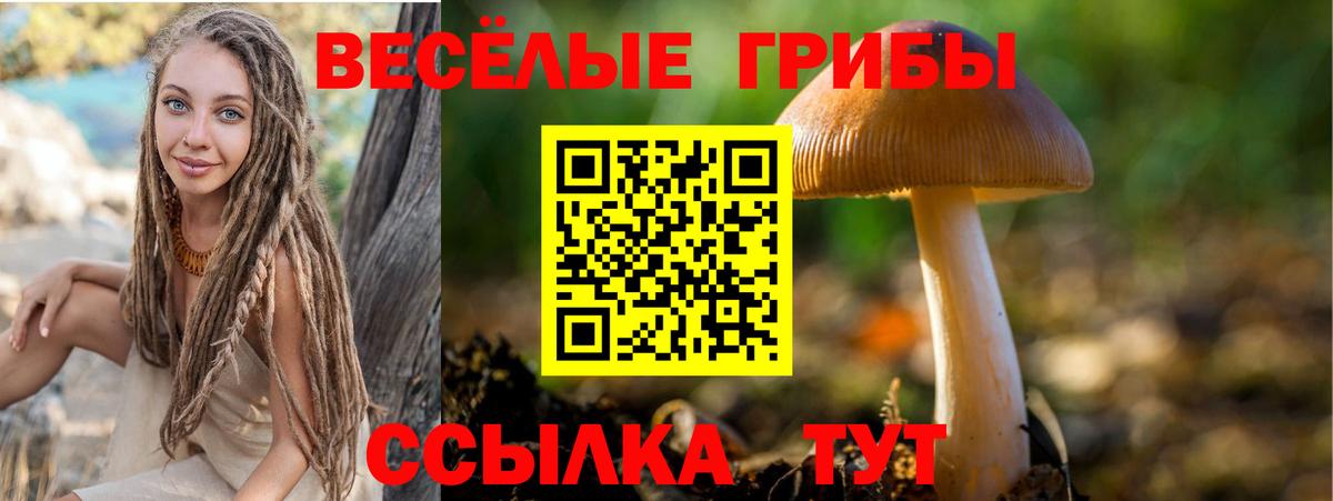 Галлюциногенные грибы MAGIC MUSHROOMS Пушкино